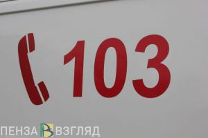 В Пензенской области машина «скорой» сбила лося