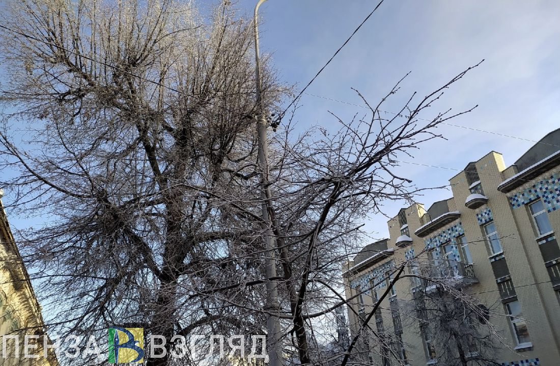 Морозная погода, покушение на убийство мальчика и новые случаи ковида - новости Пензы за 22 января