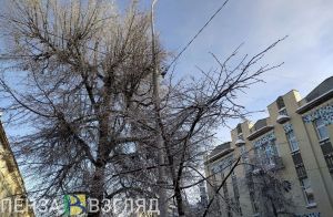 Морозная погода, покушение на убийство мальчика и новые случаи ковида - новости Пензы за 22 января