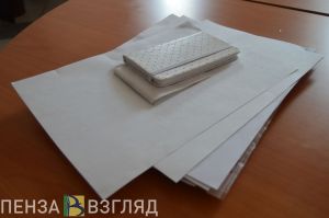В Пензенской области планируется организовать кадровый проект для студентов
