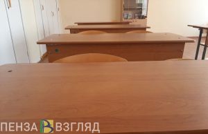 В Пензенской области на карантин по коронавирусу закрыты 599 классов