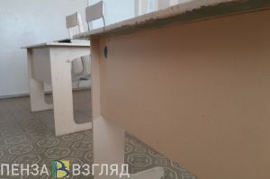 Стало известно, кого из студентов пензенских колледжей отправили на каникулы