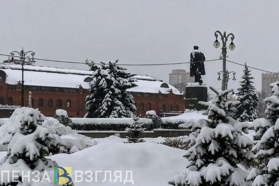 Предприниматели из Пензенской области могут подать заявку на статус социального предприятия
