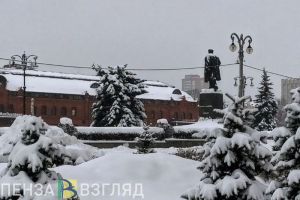 Предприниматели из Пензенской области могут подать заявку на статус социального предприятия