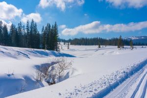 В юниорском чемпионате мира в Норвегии участвуют пять лыжников из Пензы