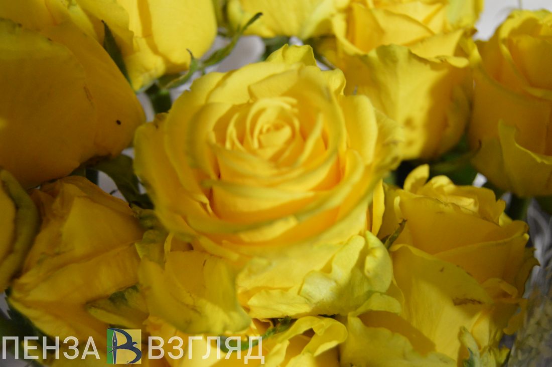 В Пензе откроется традиционная выставка-продажа цветов