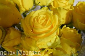 В Пензе откроется традиционная выставка-продажа цветов