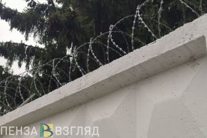 Из-за собранного растения житель Каменки может угодить в тюрьму