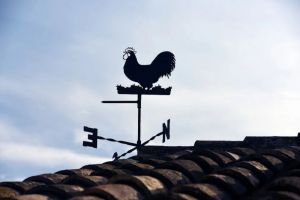 Ветреная погода сохранится в Пензенской области