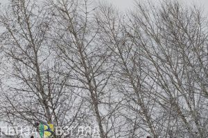 Научный руководитель Гидрометцентра: «В течение ближайшей недели непогода не закончится»