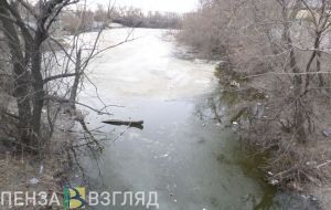 В Пензенской области прокуратура пресекла сброс грязных стоков на двух предприятиях