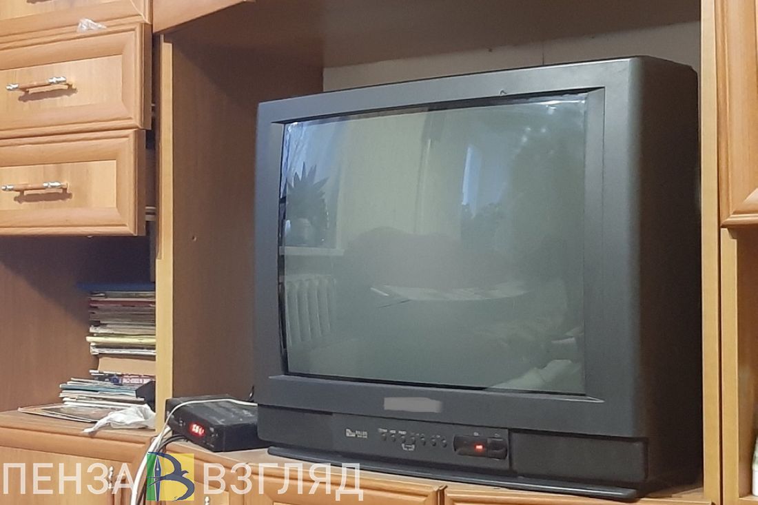 Убийство из-за телевизора, нехватка витаминов и застрявший в стуле ребенок: новости Пензенской области за 29 марта