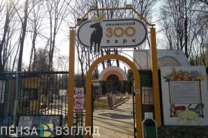 Пензенцев приглашают в зоопарк на показательное кормление белого медведя