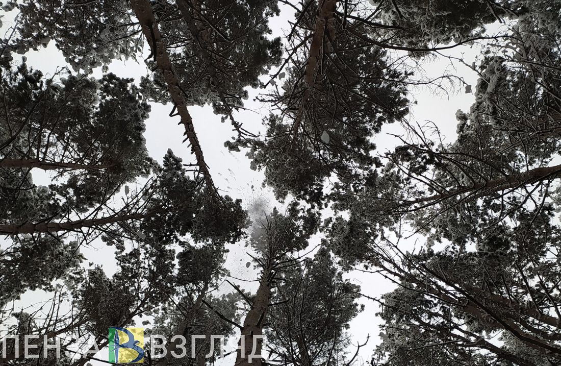 Понижение температуры, «пьяное» убийство и реконструкция набережной - новости Пензы за 28 марта