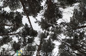 Понижение температуры, «пьяное» убийство и реконструкция набережной - новости Пензы за 28 марта