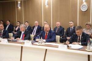 Представители Бреста и Пензенской области обсудили взаимодействие в сферах промышленности, АПК и туризма
