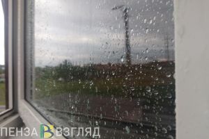 Туман и сильный дождь прогнозируются в Пензенской области 1 апреля