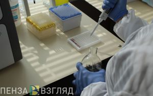 В Пензенской области за сутки ковид выявлен у 268 жителей