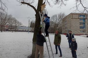 В Пензе выбрали лучший скворечник и бельчатник