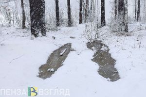 Пензу накрыл снегопад