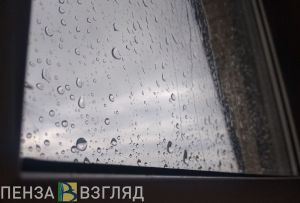В Пензенской области ожидаются ветер с юга и дождь