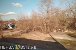 Чепыжник, бутылки и пакеты. Мельниченко раскритиковал работу по благоустройству Пензы