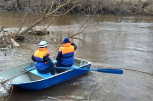 Спасатели вызволили из беды собаку, несколько дней голодавшую на острове в Пензе