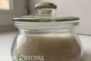 Стало известно, какие продукты подорожали сильнее всего в Пензенской области