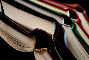 Проект пензенских библиотекарей выиграл грант Российского фонда культуры