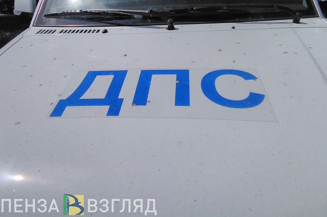 Смертельная авария, спасение редкой птицы и обрушение части кладки здания на Советской: новости за 19 апреля
