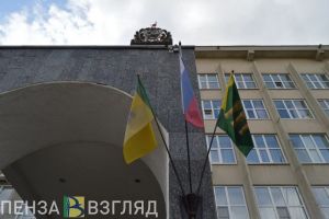 Председатель пензенской Контрольно-счетной палаты рассказала о выявленных за 2021 год нарушениях