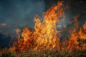 Спасатели потушили вспыхнувшую сухую траву под Пензой