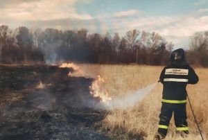 В поселке ЗИФ выгорел гектар поля