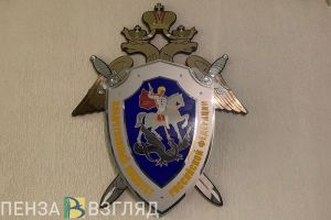 В Пензенской области следователи разбираются в обстоятельствах гибели женщины при пожаре