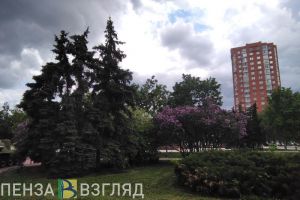 Жителей Пензенской области предупредили о приближающейся грозе