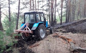 В Пензенской области произошли первые лесные пожары
