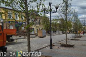 На реконструируемом участке улицы Московской в Пензе высаживают деревья