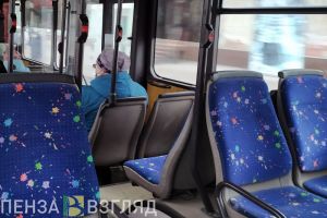 После салюта на 9 Мая пензенцев развезет по домам дополнительный транспорт