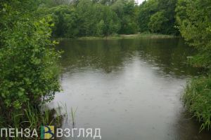 В Пензенской области ожидаются сильные дождь и ветер