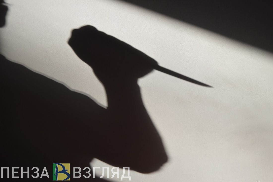 Удар ножом, пожар в птичнике и закупка бытовой техники: новости Пензенской области за 12 мая