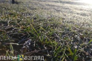 В Пензенской области 20 мая ожидаются заморозки