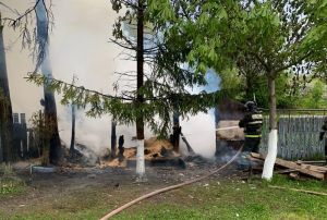 Появились фото с места пожара в поселке Приовражный