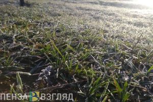 Пензенские синоптики вновь прогнозируют заморозки