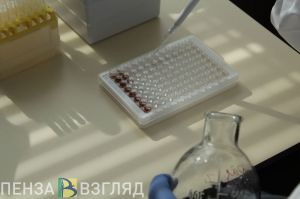 Пензенский Роспотребнадзор рассказал о ситуации по оспе обезьян