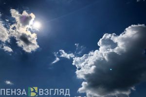 Стало известно, какая погода ожидается в Пензенской области 25 мая