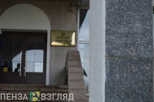 Главным художником Пензы стала Оксана Филякина