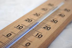 Завтра в Пензенской области воздух прогреется до +20 градусов