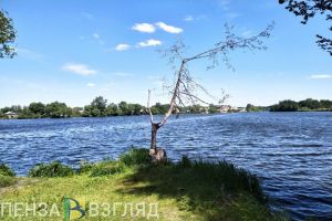 Список пляжей, финансирование пенсий и начало работы фонтана: новости Пензенской области за 30 мая