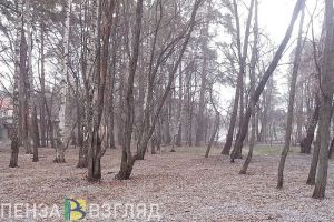 В голосовании за объекты благоустройства в Заречном появился новый лидер