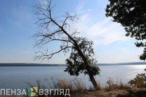 В администрации Пензы прокомментировали подачу обращения о переименовании Сурского водохранилища